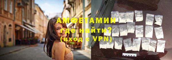 крисы Абаза