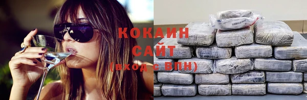 крисы Абаза