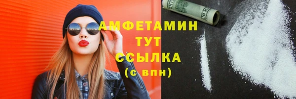крисы Абаза