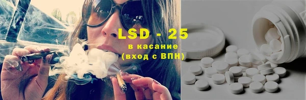 крисы Абаза