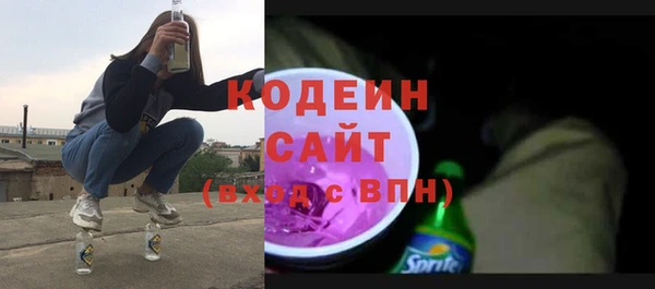 крисы Абаза