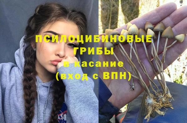 таблы Алексеевка