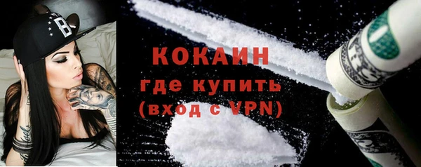 крисы Абаза
