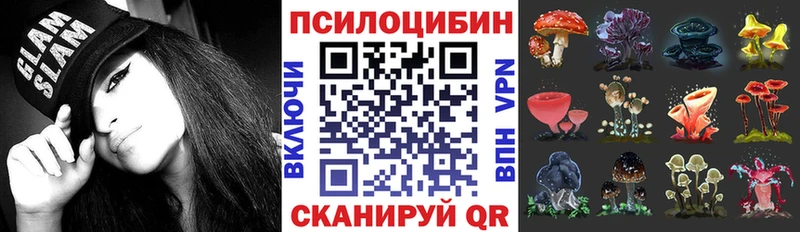 Псилоцибиновые грибы прущие грибы кракен зеркало Чишмы